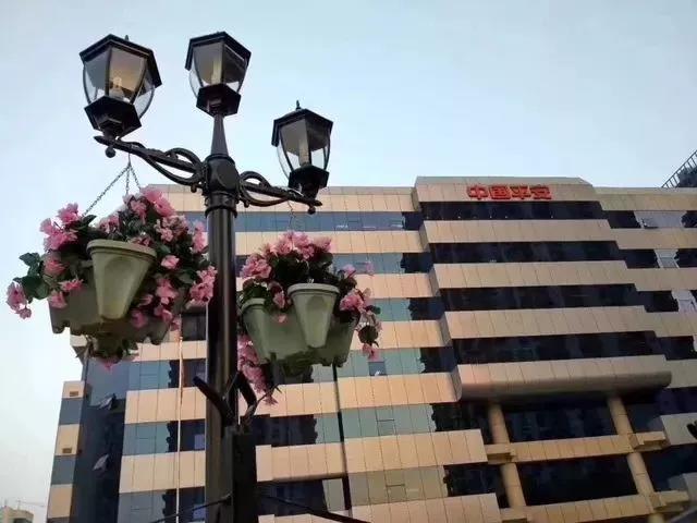 微信圖片_20191219181823.jpg 微信圖片_20191219181823.jpg